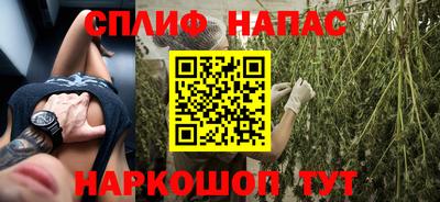 прущие грибы Чебоксары
